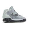Nike Кроссовки Kd 14 Tb 'Wolf Grey' DA7850-002