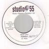 7-дюймовая пластинка PERFECT - New Day Studio 55 2004 UK Регги, Ска и Даб