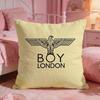 Brand BBOY LLONDONs Cushion Cover Premium Comfort Reversible Pillow Cove Two In One Design For Any Room  Car Interior