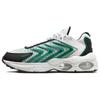 Кроссовки Air Max Tw 'Summit White Malachite' Повседневная обувь DQ3984-106