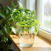 20PCS Plastic Hydroponic Seedling Pots Breathable Planting Mesh Pots  Aerated Root Growth