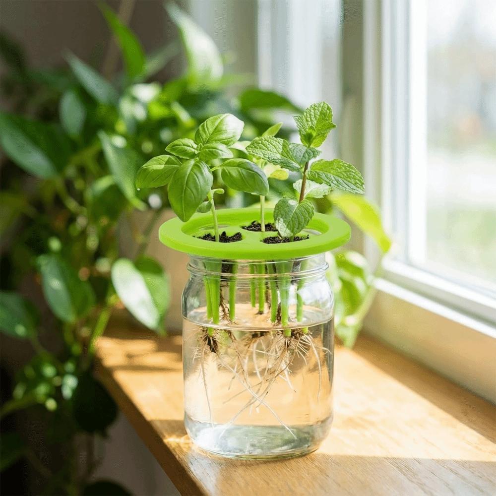 20PCS Plastic Hydroponic Seedling Pots Breathable Planting Mesh Pots Aerated Root Growth