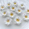 10Pcs Pure White Flower Resin Flat Back Diy Wedding Decoration Flower Shaped Scrapbook Jewelry Making Accessories