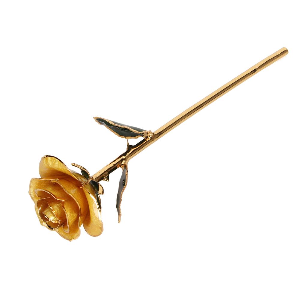 Preserved Rose 24K Gold Plated Bright Luster Rich Details Naturally Gold Dipped Rose with Holder