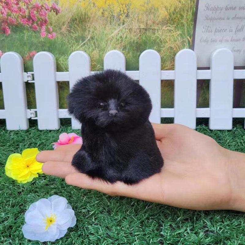 Мягкая лающая игрушка «Кот, кролик и щенок» — развивающая кукла-животное для детей