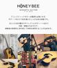 HONEY BEE Акустическая гитара Фолк-гитара Типа для начинающих Вводный набор из 16 предметов F-15/CRD