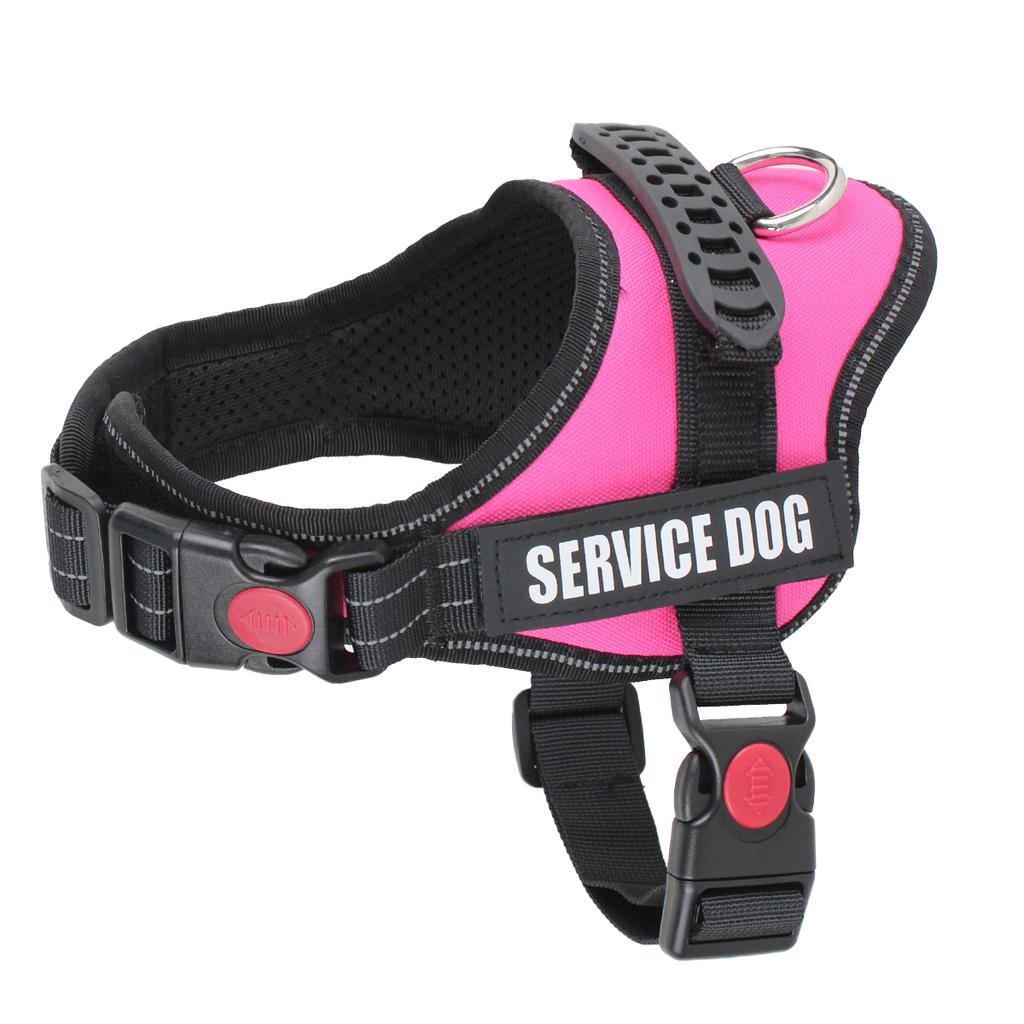 Милый ошейник-шлейка для щенка и котенка, светоотражающая шлейка-жилет для маленькой собаки, для прогулок на улице, защита от потери, корги, лабрадор, чихуахуа