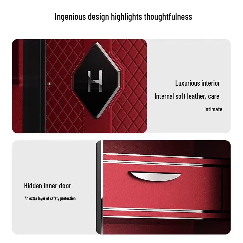 TIGER Fingerprint & Password Anti-Theft Safe for Home & Office