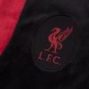 Liverpool FC Boys Crest Fleece Dressing Gown
