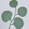 Искусственный лист ивы Имитация листа эвкалипта Зеленое растение для дома Цветочная композиция Декорация Рождественские принадлежности DIY