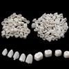 2 Packs Dental Temporary Crown Material For Anterior + Molar Teeth Veneers New