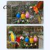 Hanging Bird Toy Parrot Foraging Ball Toy, Plastic Hollow with Bell, Cage Enrichment for Lovebird Budgie Cockatiel Conure