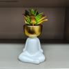 Украшение цветочного горшка с изображением персонажа Украшения для дома Суккулентный цветочный горшок Настольная ваза Горшок для растений Садовые горшки Кашпо Горшечные растения