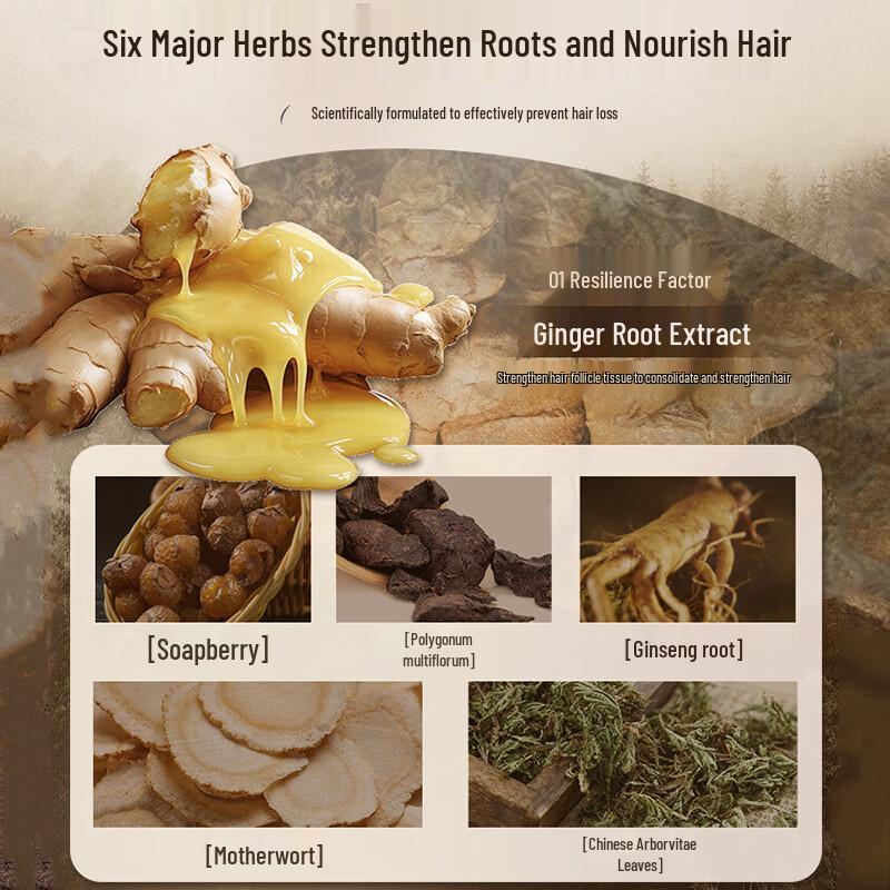 Datang Zhiyan Ziyu Anti-Hair Loss Ginger Shampoo