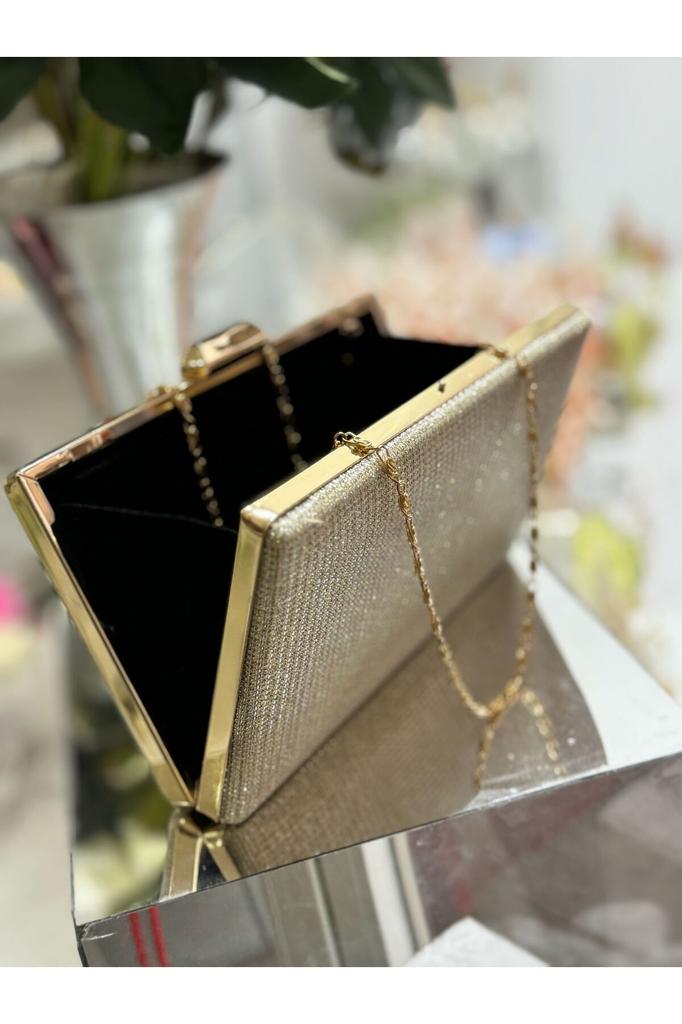 Women's Stylish and Useful Evening Dress Bag Evening Dress Bag Gold Color