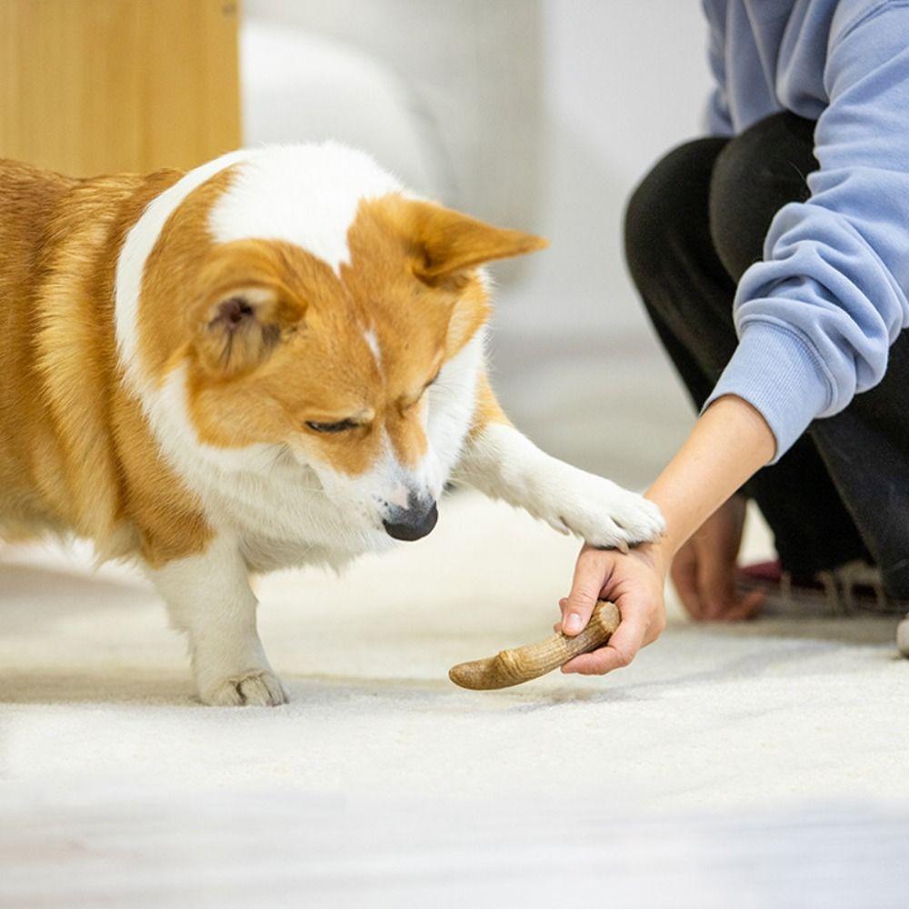 Creative Puppy Molar Toys Bone Shape Dog Interactive Toys Portable Dog Chew Stick Pet Dental Care