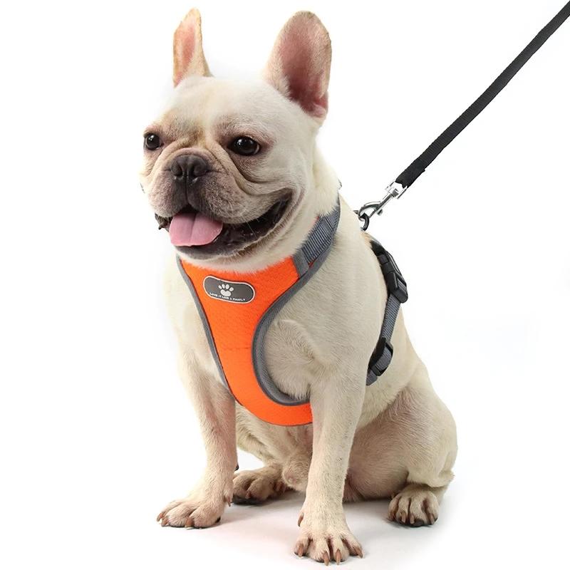 Astro Orange Dog Training Harness For Walking, Size S