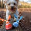 Интерактивные игрушки для собак, новые игрушки для собак с пищалкой, активный катящийся мяч для щенков и средних собак, перезаряжаемый через USB