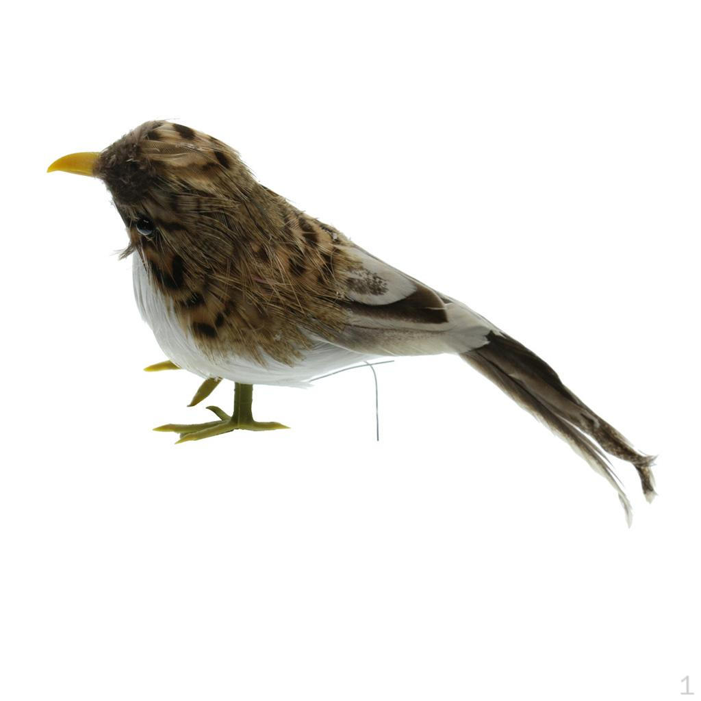 Оперенная Воробьиная Домашняя Садовая Орнаментация