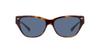 Sunglasses HC8370F CH660 BEIGE SOLID Lens 56 [Coach] TORTOISE/TRANSPARENT Frame/BLUE