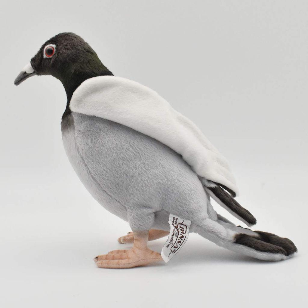 BH6299 HANSA Pigeon 29