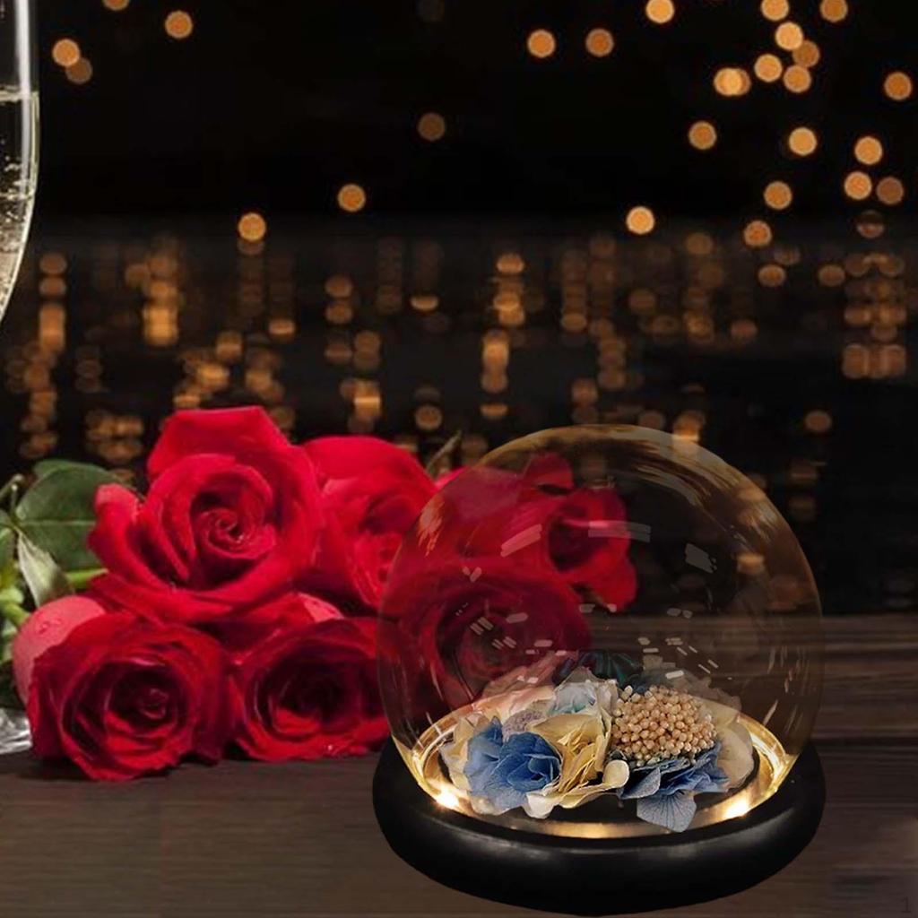 Cloche Glass Dome Valentines Day Gifts for Her Women Dollhouse Accessories Decor