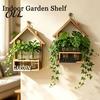 Minimalist Hanging Vase Wooden Wall Propagation Planter, Mounted Planter with Clear Glass Tubes for Pothos Station Hydroponic Plants, Plant