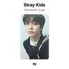 Stray Kids Официальная фотокарточка ODDINARY SubK