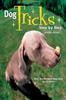 Книга Dog Tricks Step By Step by Mary Ann Rombold Zeigenfuse - Paperback