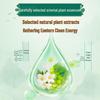 Liby Dishwashing Detergent