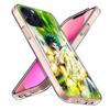 Saint Seiya Knights Of The Zodiac Clear Phone Case For Iphone 17 Air 16 Pro Max 15 Pro 14 Plus 17E 16E 11 13 12 Mini Cover Cases