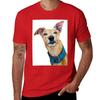 Greyhound - Galgo Espa?ol T-Shirt vintage clothes oversizeds blanks mens big and tall t shirts