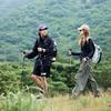 Naturehike Breeze 3-Section Carbon Fiber Trekking Pole