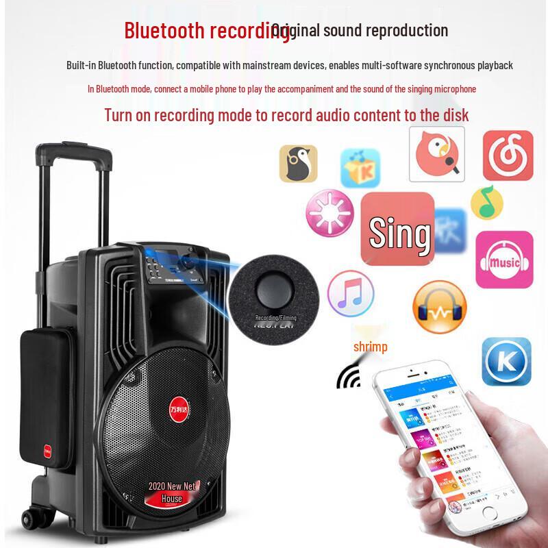 Malata M+9018C Outdoor Portable High-Power Bluetooth KTV Trolley Speaker