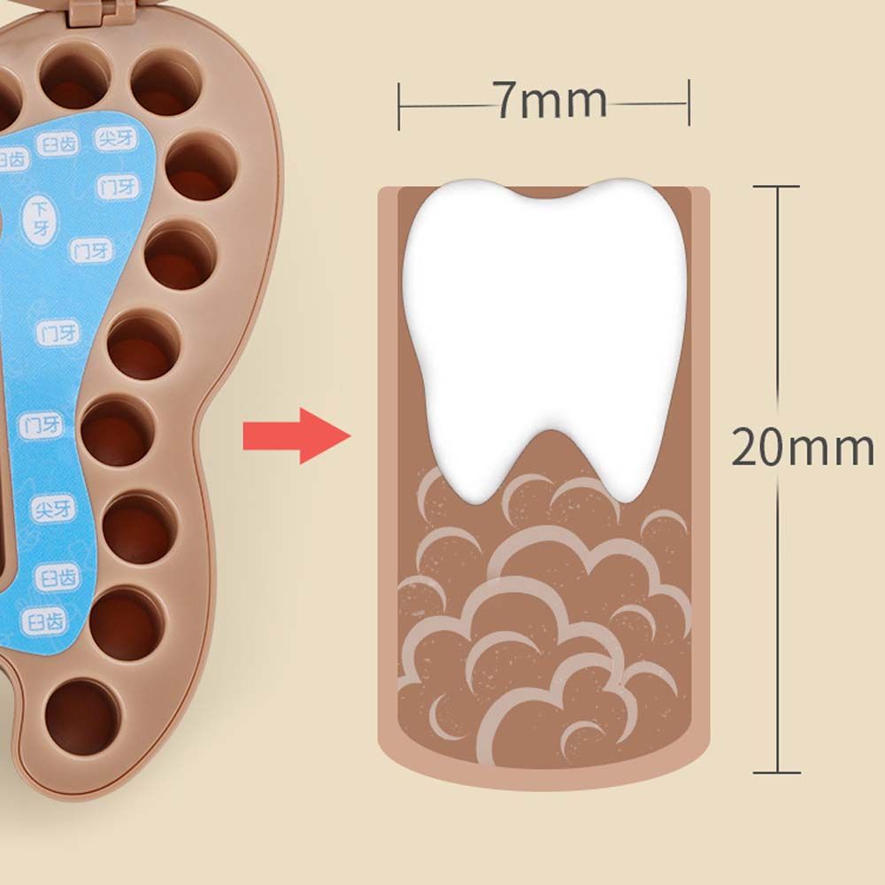 box Souvenirs Box Deciduous Tooth Case Baby Tooth Box Milk Teeth Organizer Tooth Fairy Box
