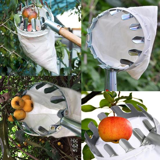 Fruit Fruit Picker Basket Head Picking Tool Laborsaving Fruit Picker Catcher Tree Picking Tool For Oranges Pears Mangoes
