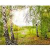 DIY Полный круглый дрель Алмазная картина Лес Пейзаж Мозаика Вышивка Крестом