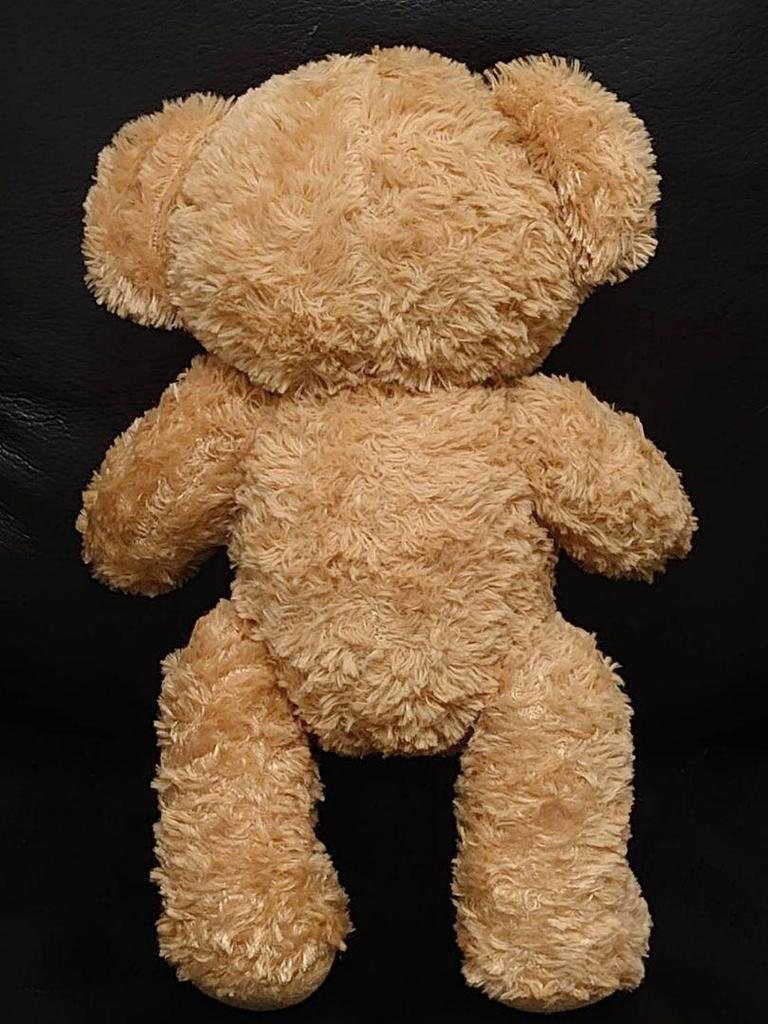 [USED] Beautiful teddy bear