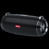 Портативная беспроводная Bluetooth-колонка Newman BT52, штекер CN (адаптер в комплекте)