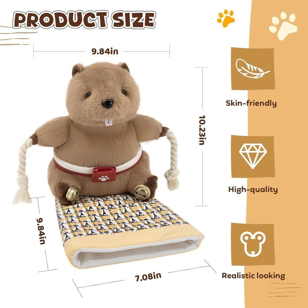Interactive Cat Play Glove With Teaser Bell Puppet Toy  for Bedroom Kitchen Porch Balcony