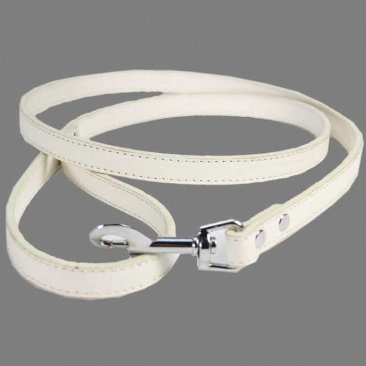 Spot Pet PU Leather Dog Leash and Cat Harness