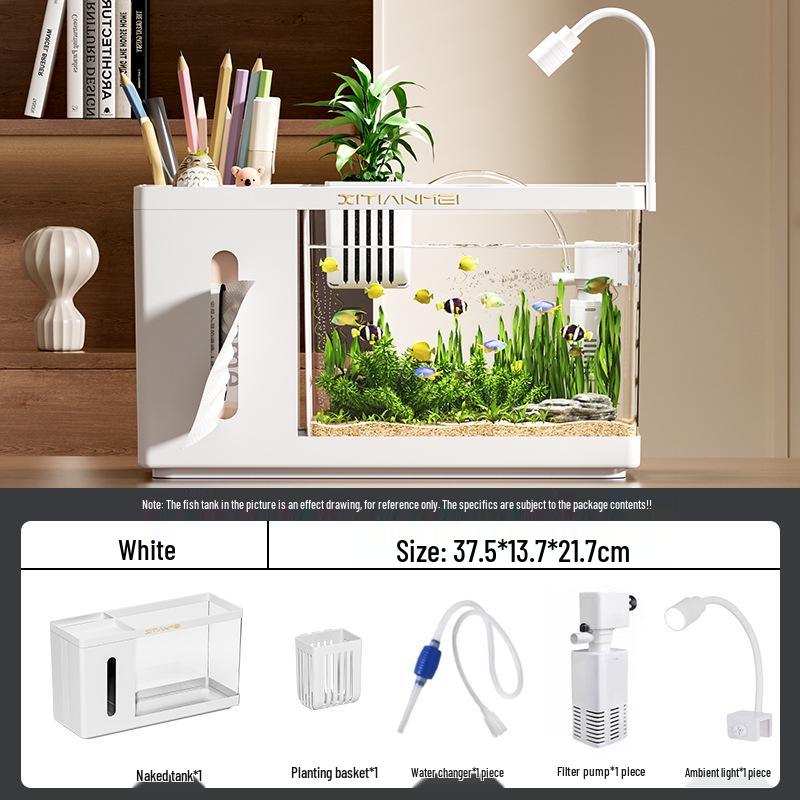 Многофункциональный Экологический Аквариум: Креативный настольный аквариум-салфетница для ландшафтного дизайна гостиной