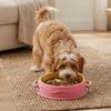 Silicone Dog Slow Feeder Bowl Non-Slip Anti-Flip Dog Treat Bowl Anti-choking with Suction Cup Pet Food Dish Pet Enrichment