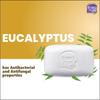 Boroplus Antiseptic Moisturising Bathing Soap With Neem Eucalyptus Honey 125G X 6 For Soft Smooth Skin