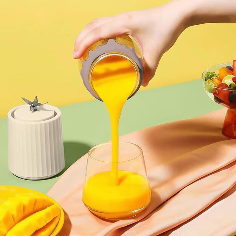 Xiao Huaxian Portable Mini Blender