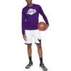 Nike Футболка NBA Los Angeles Lakers L/S фиолетовая/белая мужская уличная одежда DV6040-504