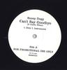 12inch Record SNOOP DOGG CHARLIE WILSON  Cant Say Goodbye  Let It Out SDSM01DJ NOT ON LABEL Rap  HipHopRB Used
