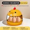 Egg Incubator Incubator Light Transparent Window 5 Eggs Humidity Control Automatic Temperature Control Manually Turn The Eggs