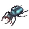 Large Insect and Reptile Toy Models: Scorpion & Spider Simulation