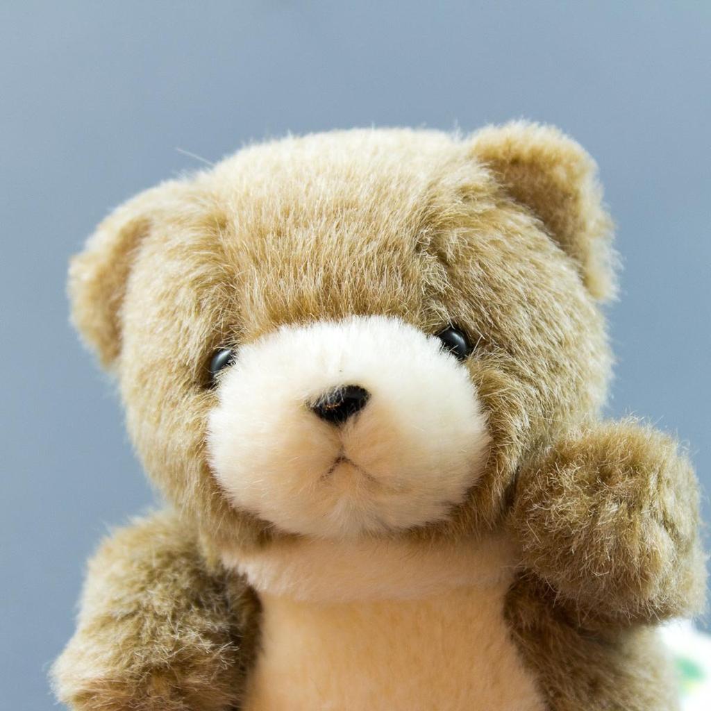 Bamboo Shoot Forest Friends Mini Bear Brown Plush Toy 85208